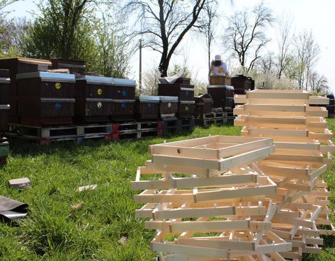 Adamcova míra – český Langstroth s 120 letou tradicí