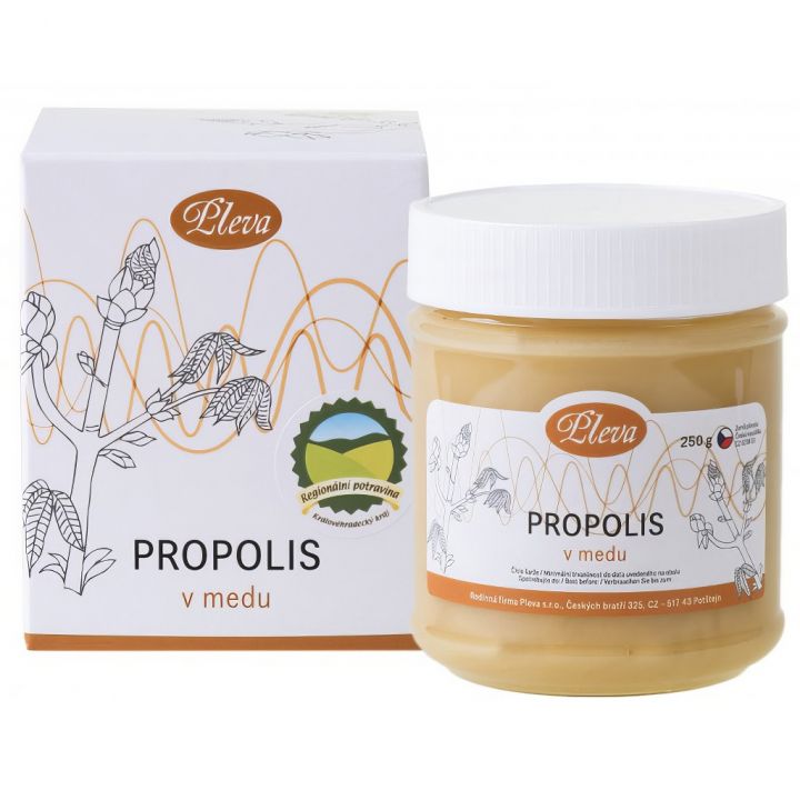 propolis-v-medu-01.jpg