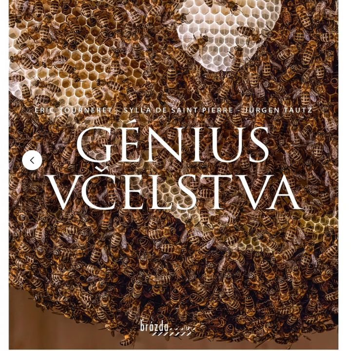 genius-vcelstva-01.jpg