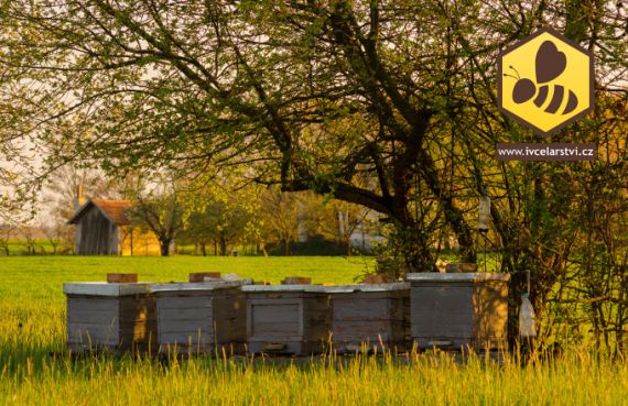 Správný výběr stanoviště úlu ovlivní výnos medu